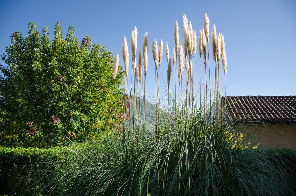 Anma Cottages Sole Lago Acquaseria Exteriér fotografie