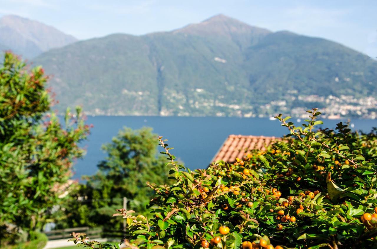 Anma Cottages Sole Lago Acquaseria Exteriér fotografie